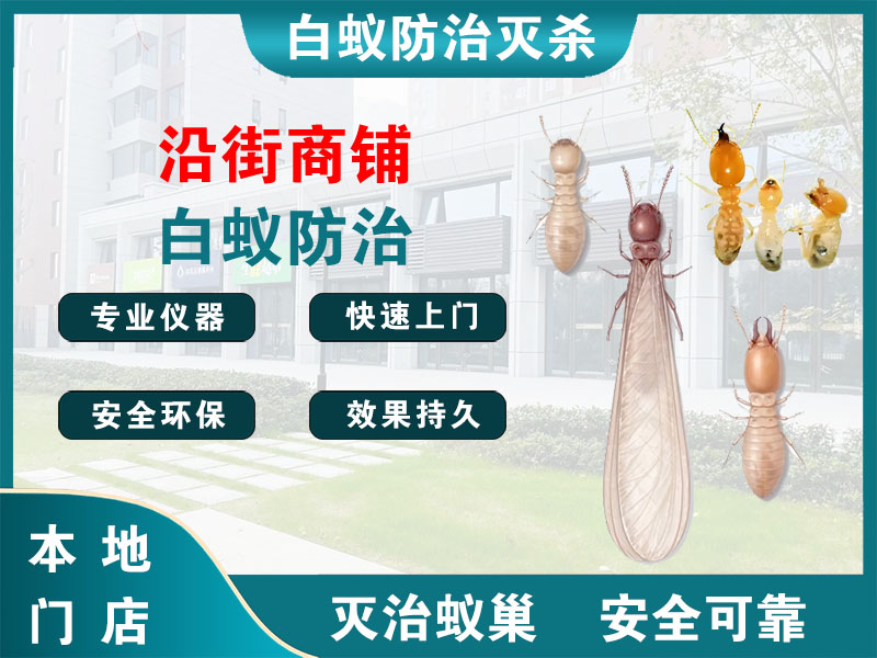 青浦区沿街商铺白蚁防治
