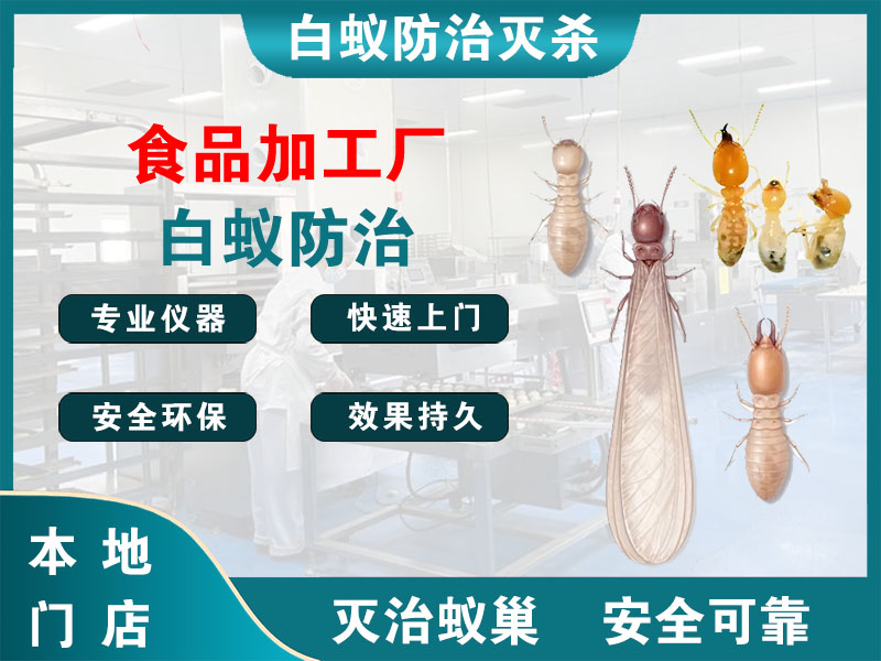 青浦区食品加工厂白蚁防治