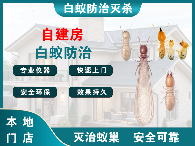青浦区自建房白蚁防治
