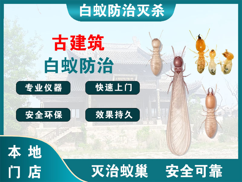 青浦区古建筑白蚁防治