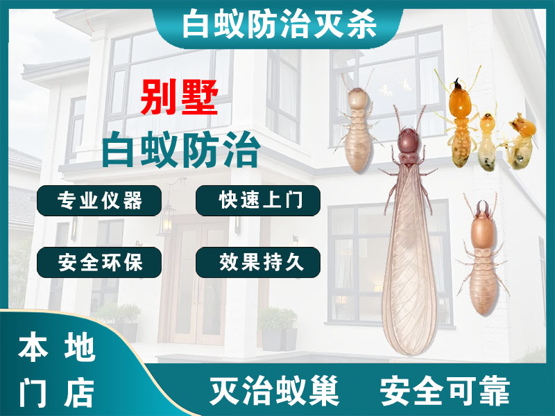 青浦区别墅白蚁防治